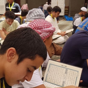 Reading